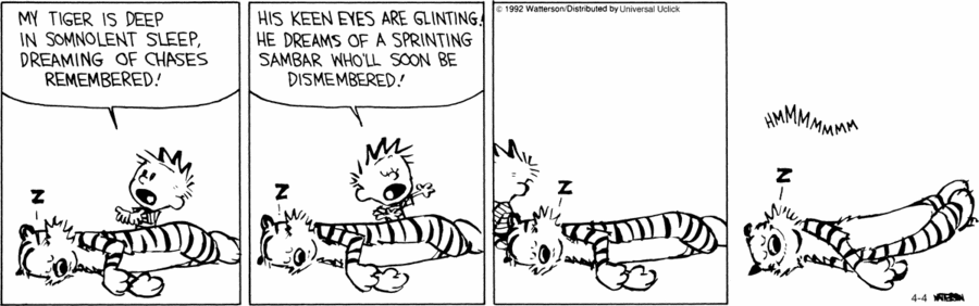 calvinandhobbes